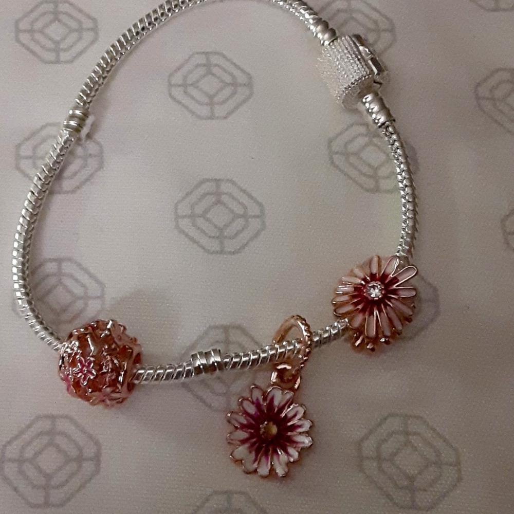 Fashion charm bracelet